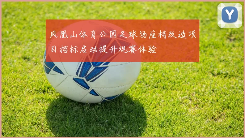 凤凰山体育公园足球场座椅改造项目招标启动提升观赛体验